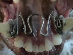 imagen3
